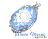 White rose on blue marble