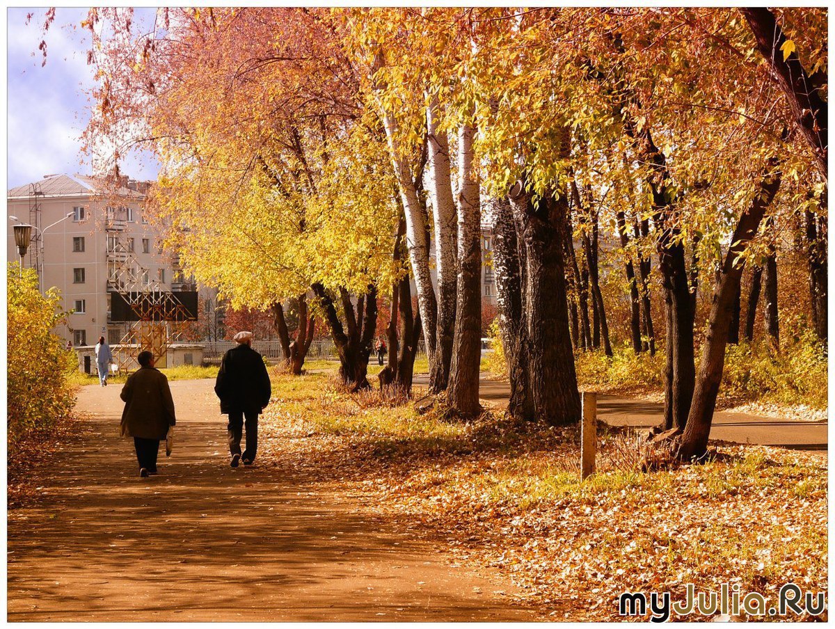 Железногорск Курская область осень