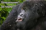 Туалетный понедельник :)